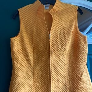 Orange Vest